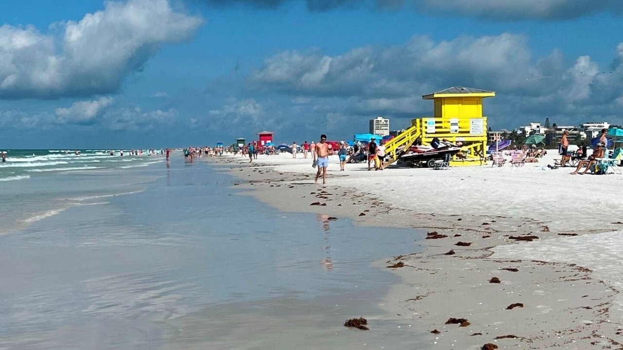 Photo of Others in Lake Sarasota