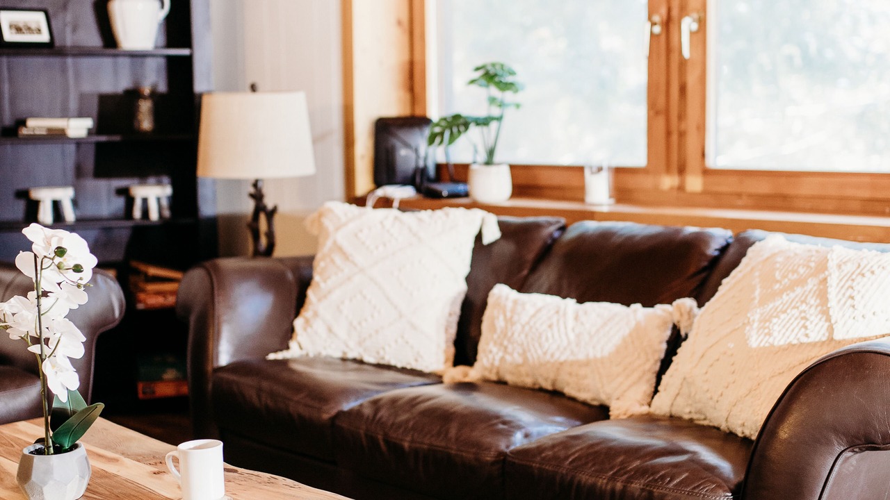 Photo of Livingroom in Grafton