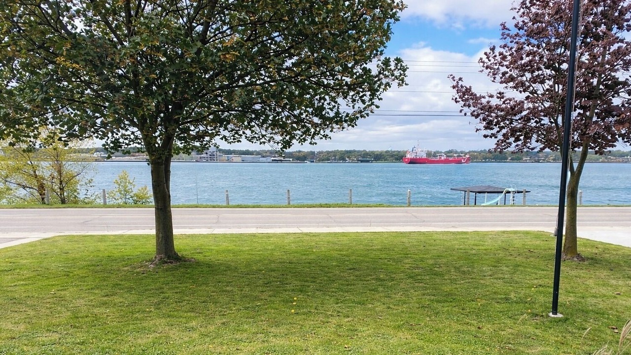 Photo of Others in St. Clair