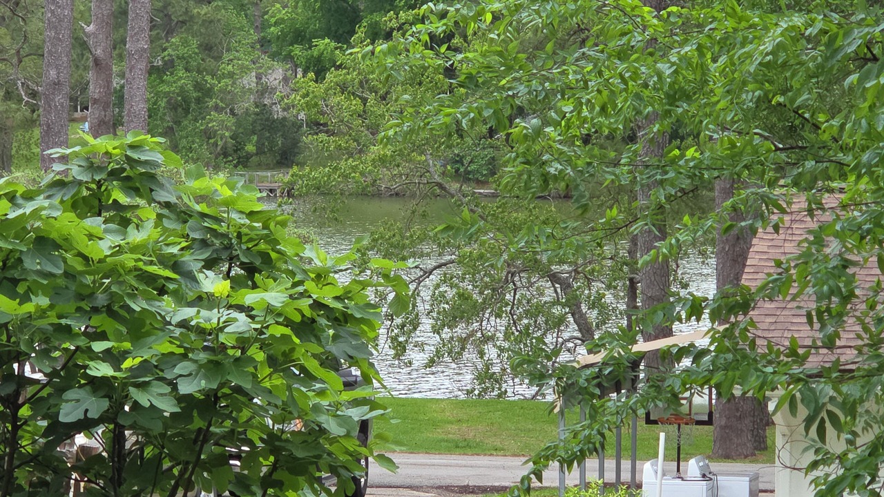 Photo of Outdoor in Montgomery