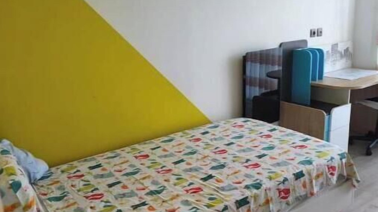 Photo of Bedroom in Meyzieu