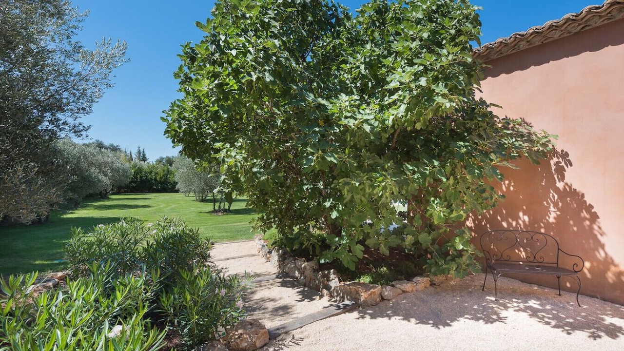 Photo of Outdoor in Saint-Siffret