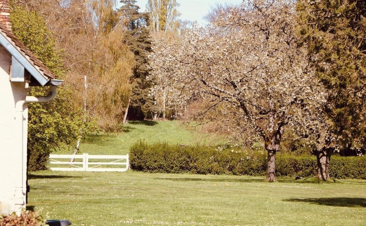 Photo of Outdoor in Bourdonne