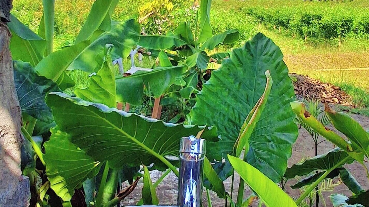 Photo of Outdoor in Kalisada