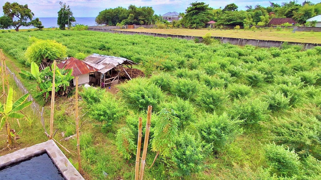Photo of Outdoor in Kalisada