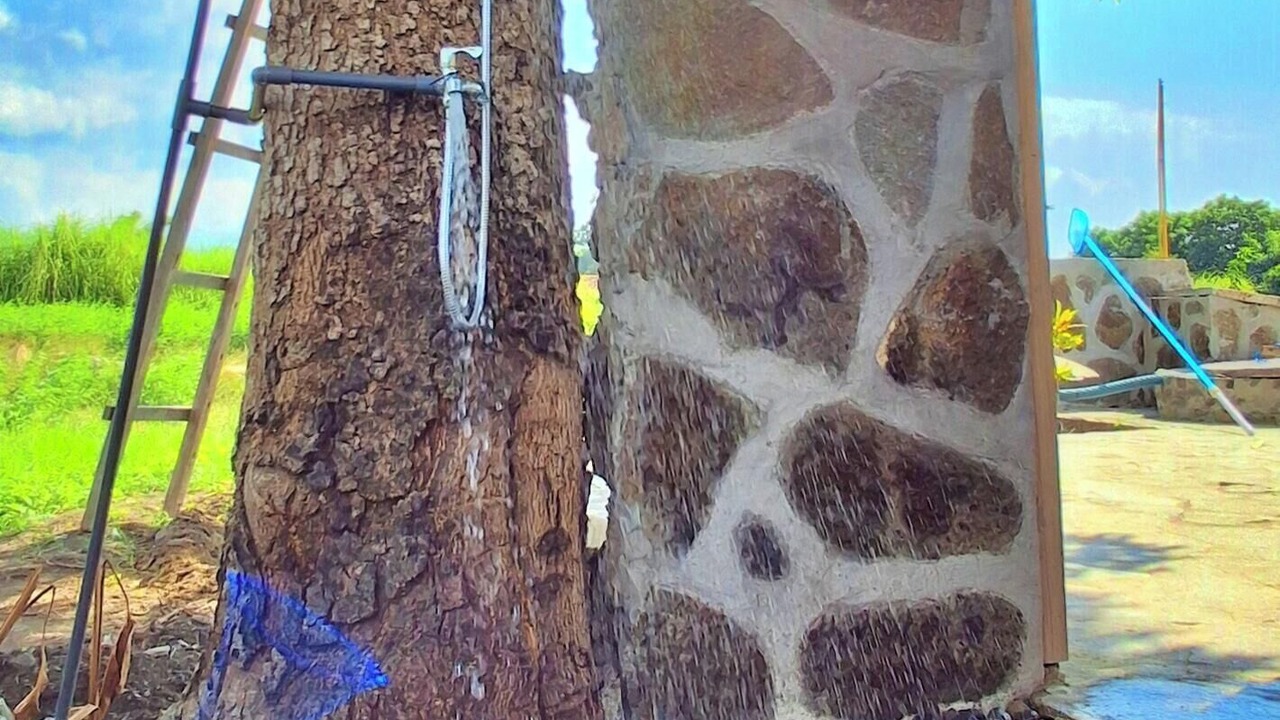 Photo of Outdoor in Kalisada