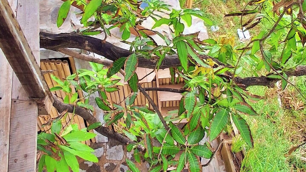 Photo of Outdoor in Kalisada