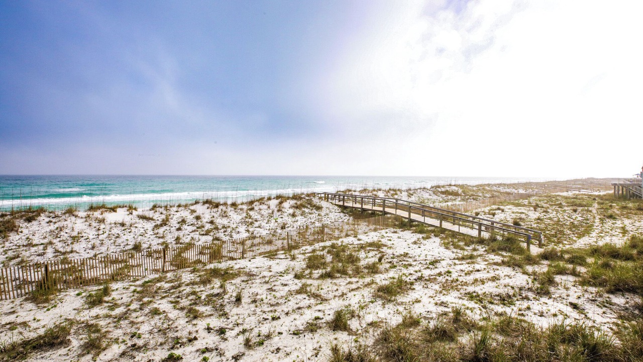 Photo of Others in White Sands