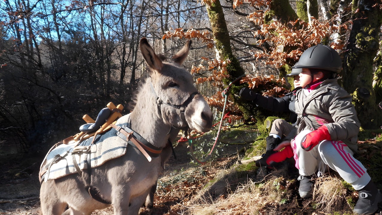 Photo of Others in Le Soulie