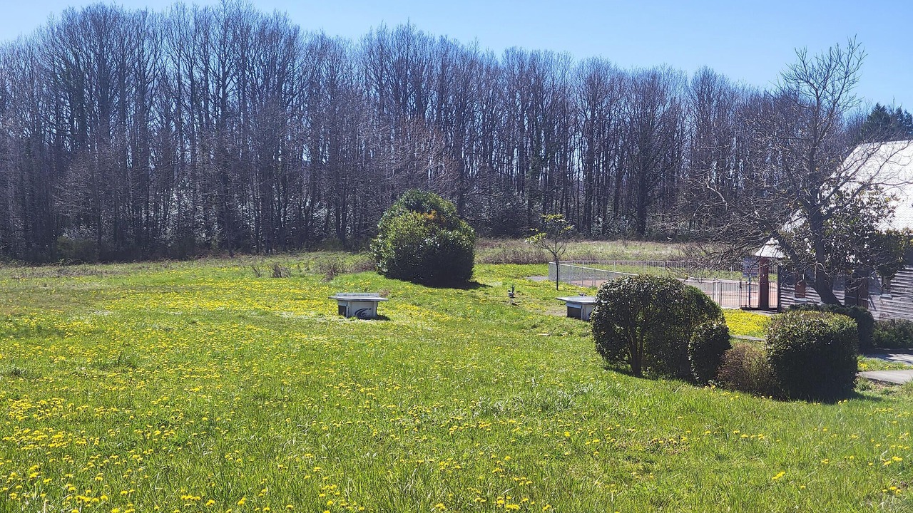 Photo of Others in La Salvetat-sur-Agout