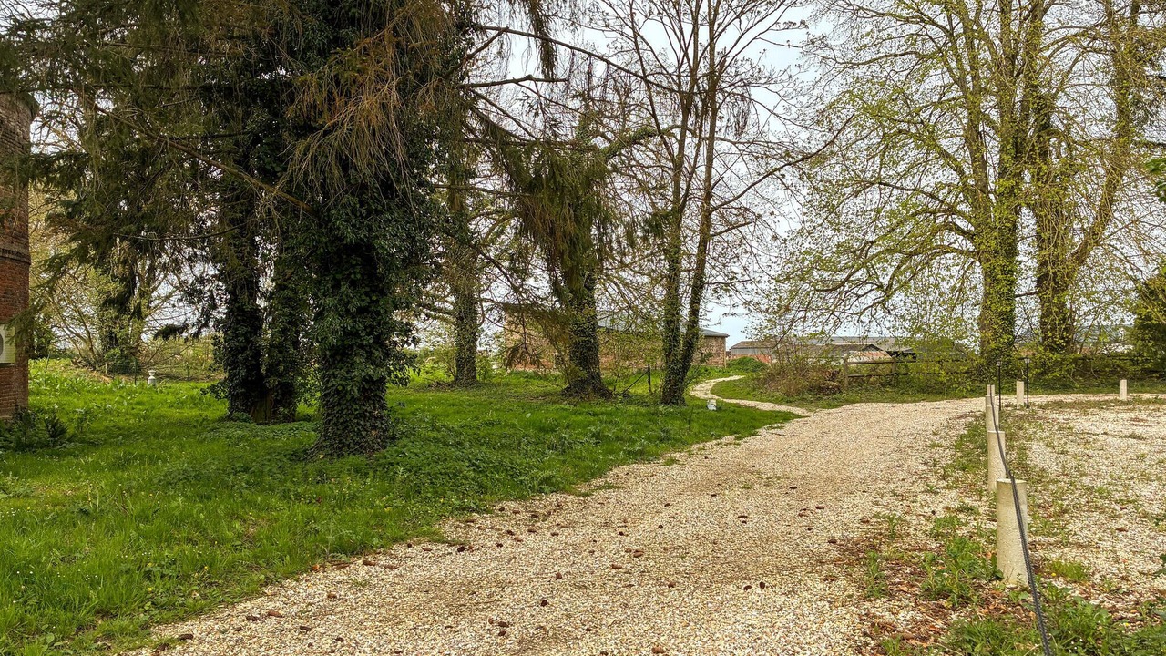 Photo of Others in Trepied
