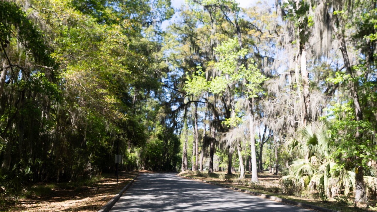 Photo of Others in Savannah