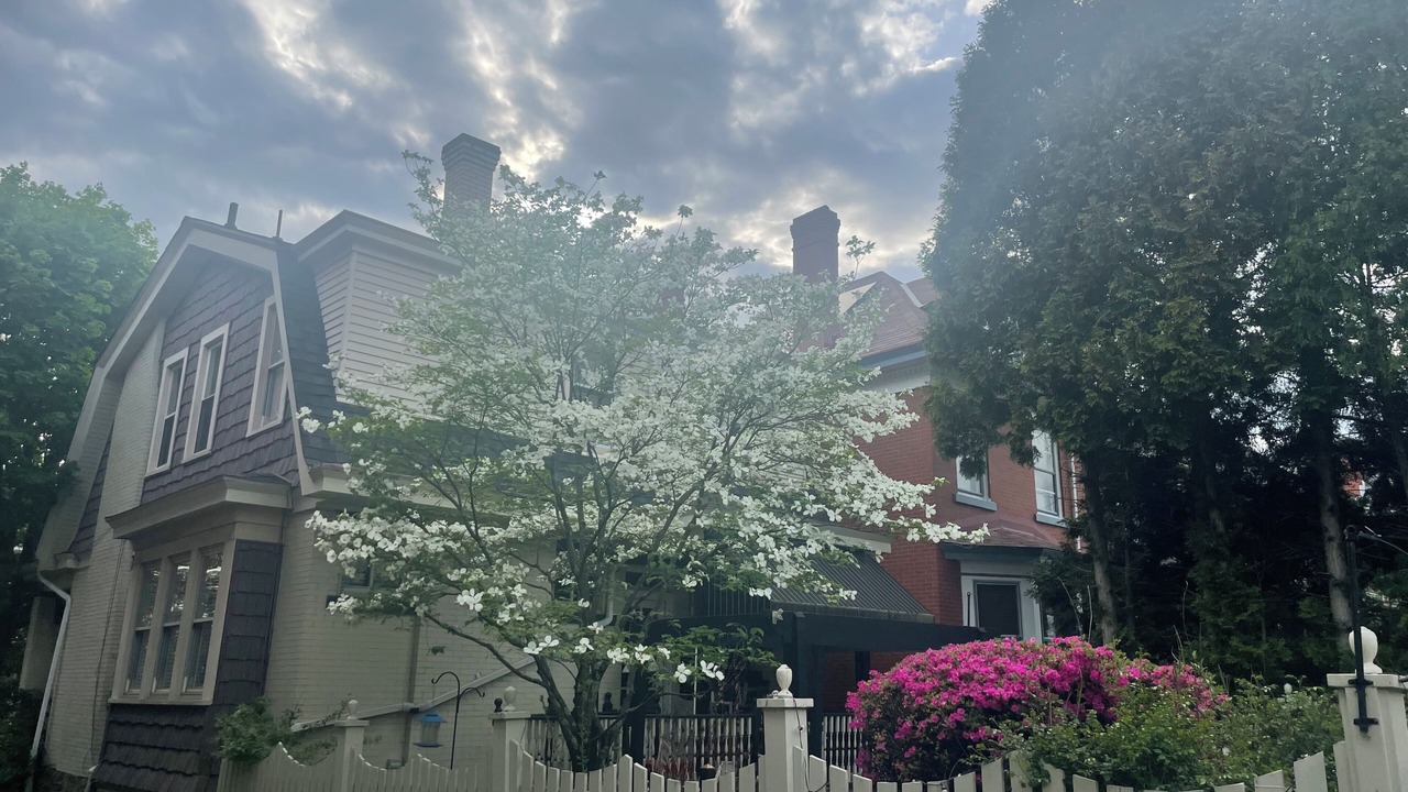 Photo of Outdoor in Dormont