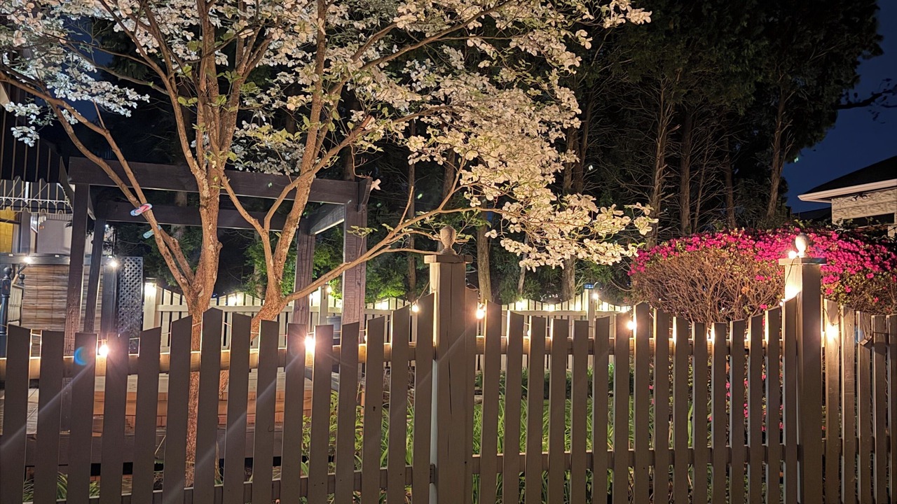 Photo of Outdoor in Dormont