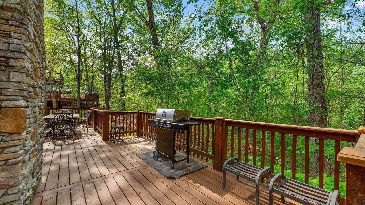 Photo of Others in Branson Cedars