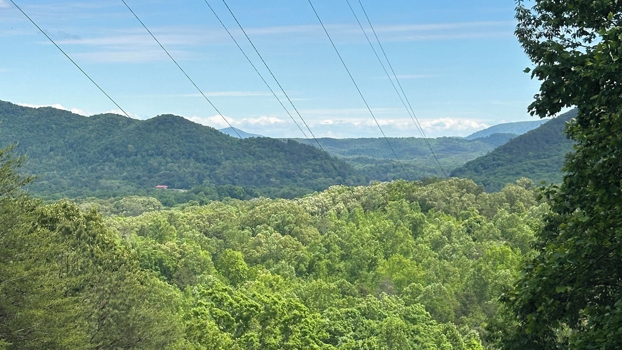 Photo of Others in Ocoee