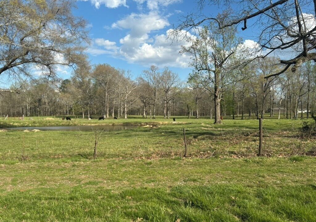Photo of Others in Wildwood Lake