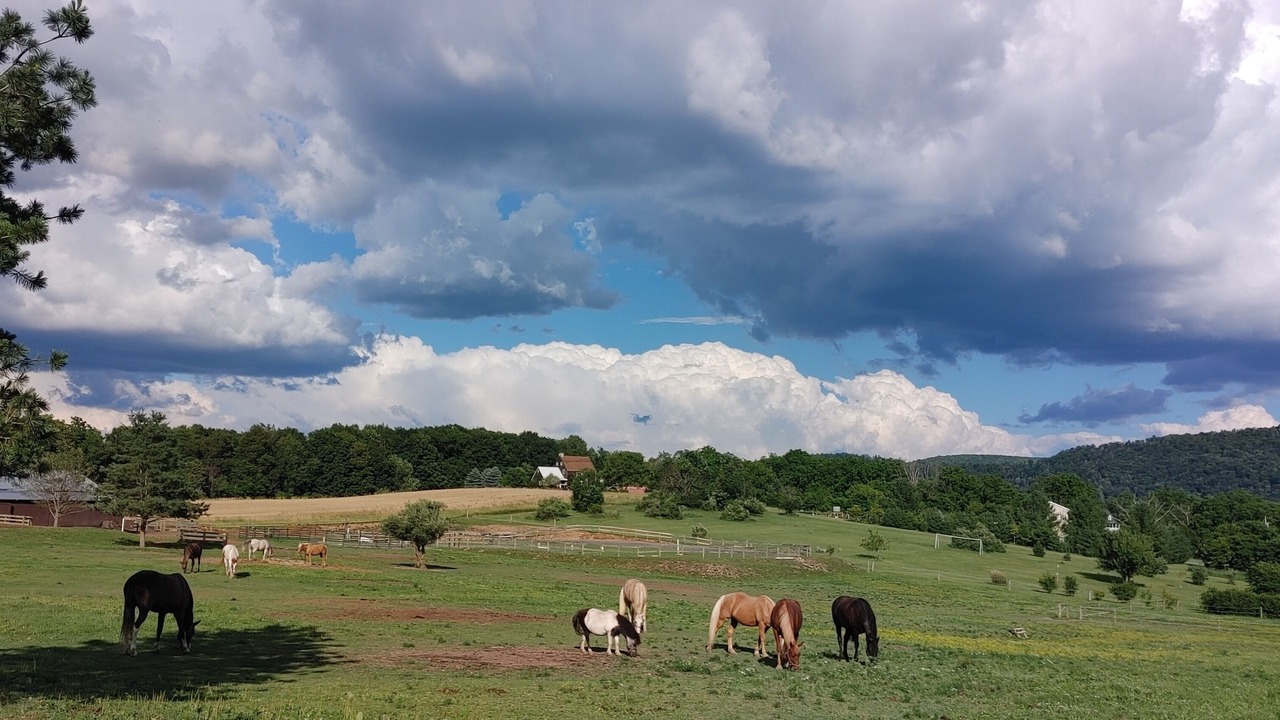 Photo of Others in Spring Mills