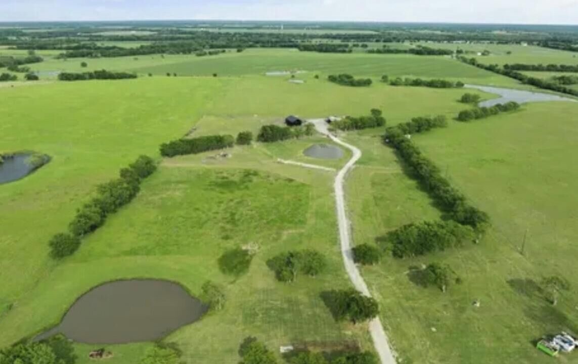 Photo of Outdoor in Celeste