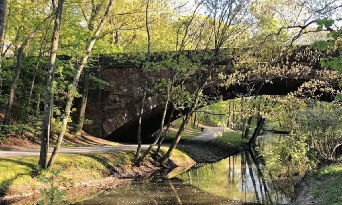 Photo of Others in North Brookline