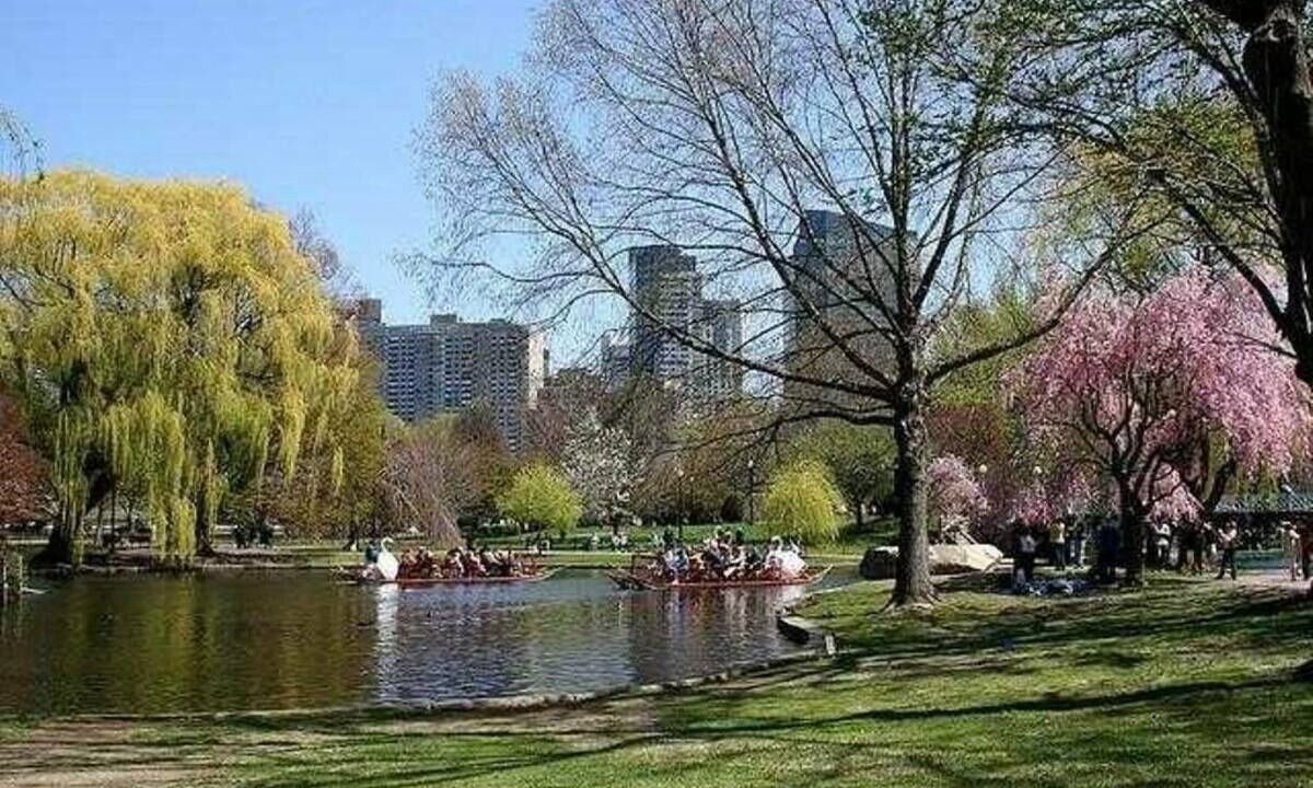 Photo of Others in North Brookline