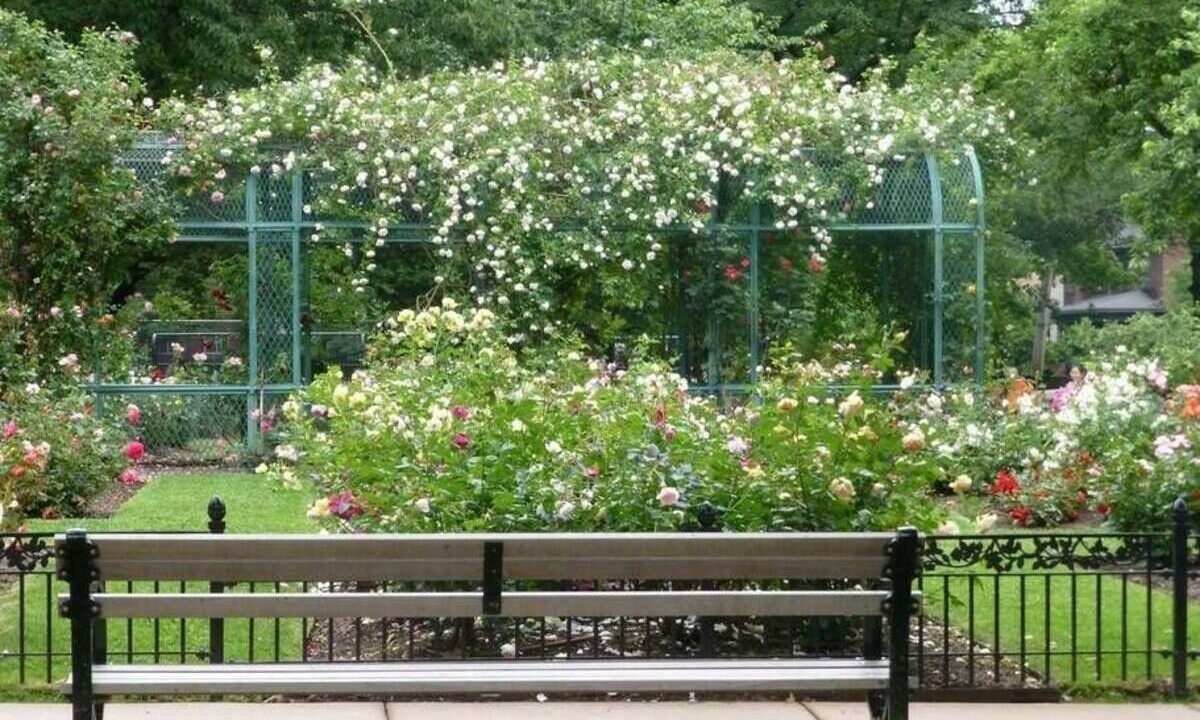 Photo of Outdoor in North Brookline
