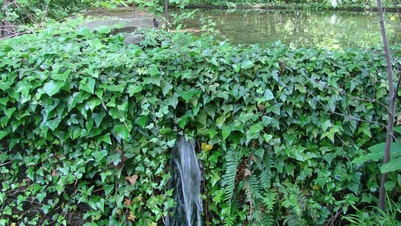 Photo of Outdoor in Navas