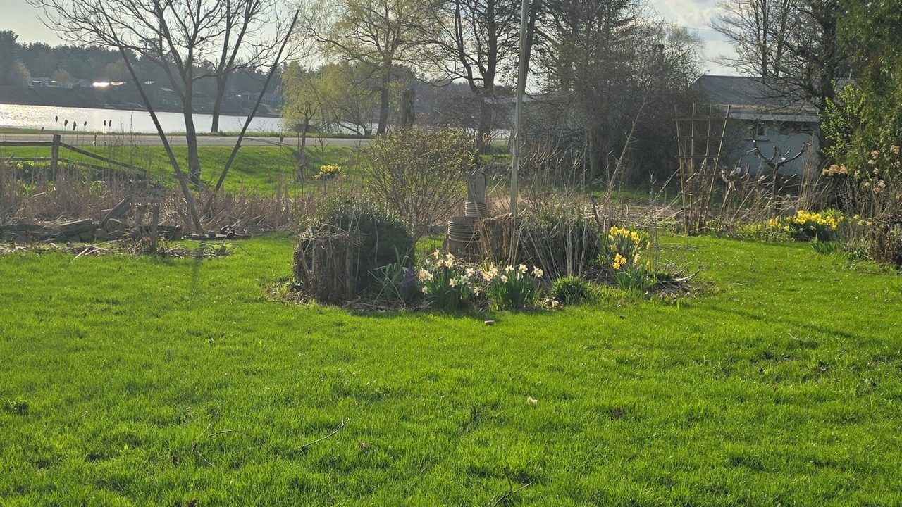 Photo of Outdoor in Sanford