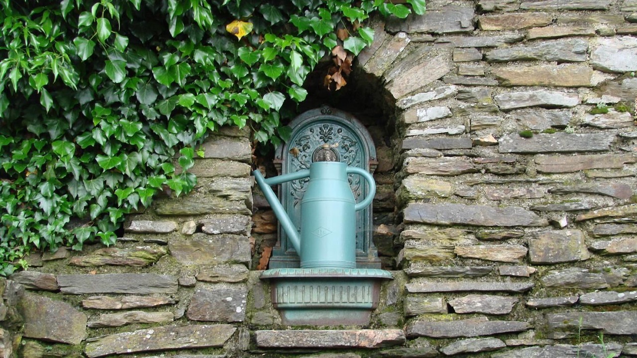 Photo of Outdoor in Navas