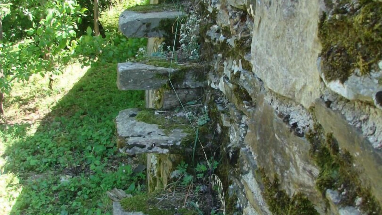 Photo of Outdoor in Navas