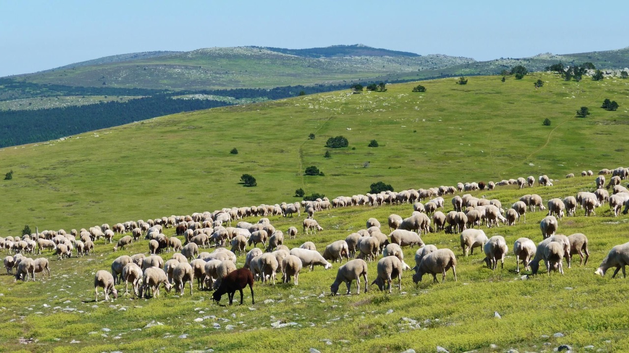 Photo of Others in Pont-de-Montvert-Sud-Mont-Lozere