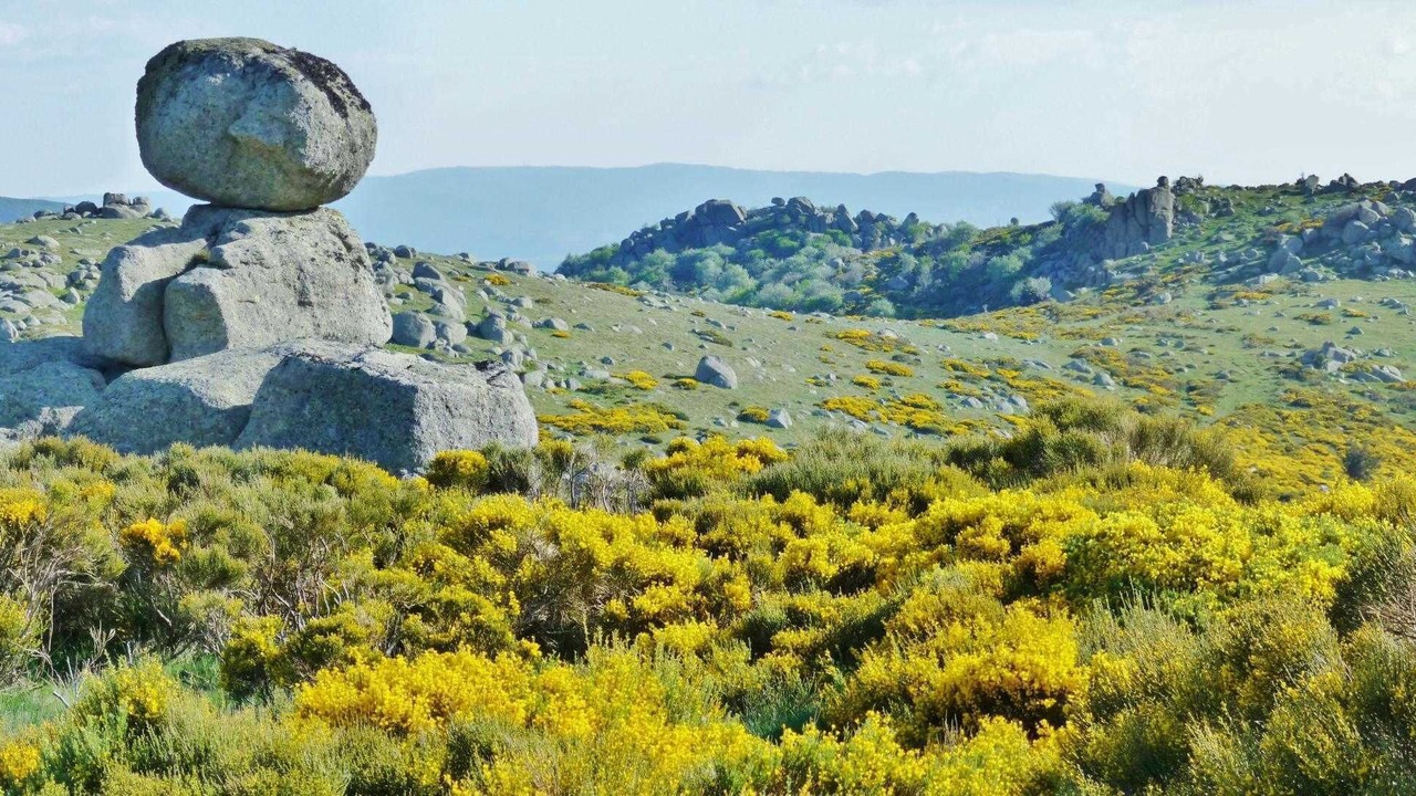 Photo of Others in Pont-de-Montvert-Sud-Mont-Lozere