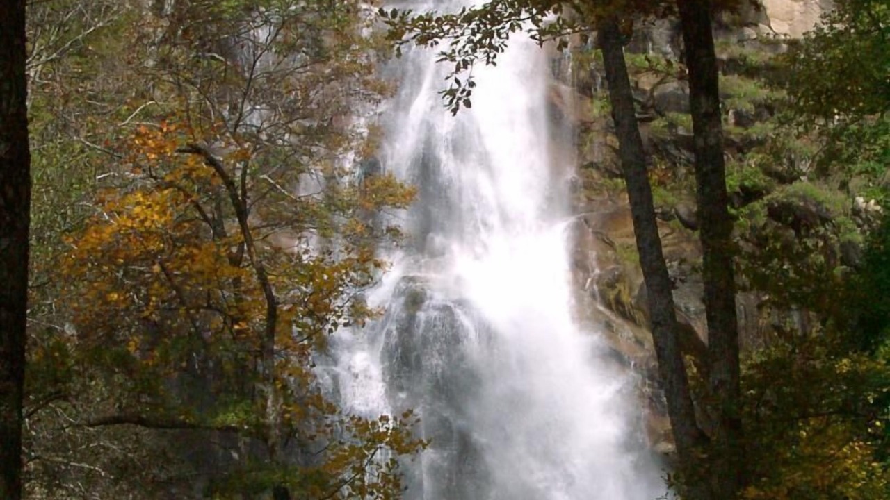 Photo of Others in Pont-de-Montvert-Sud-Mont-Lozere