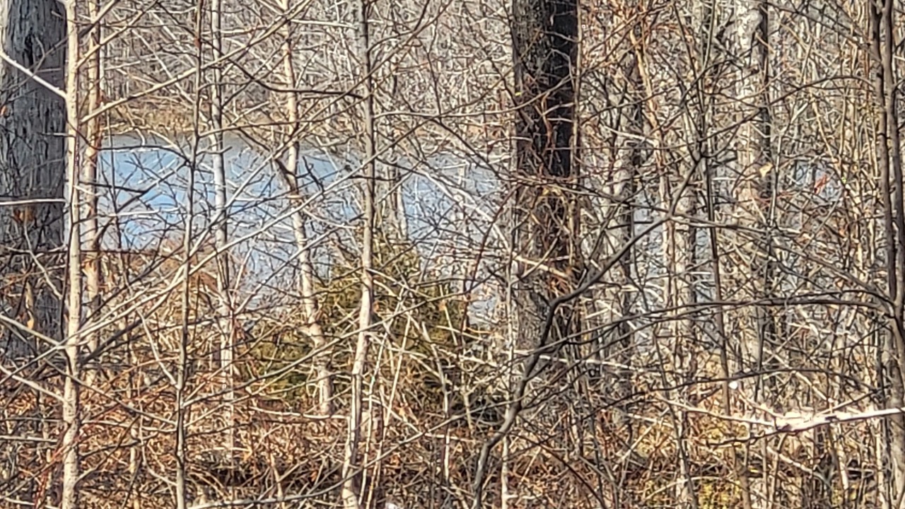 Photo of Others in Lakeview
