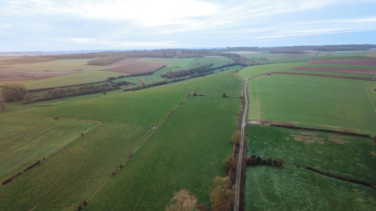 Photo of Outdoor in Thiembronne