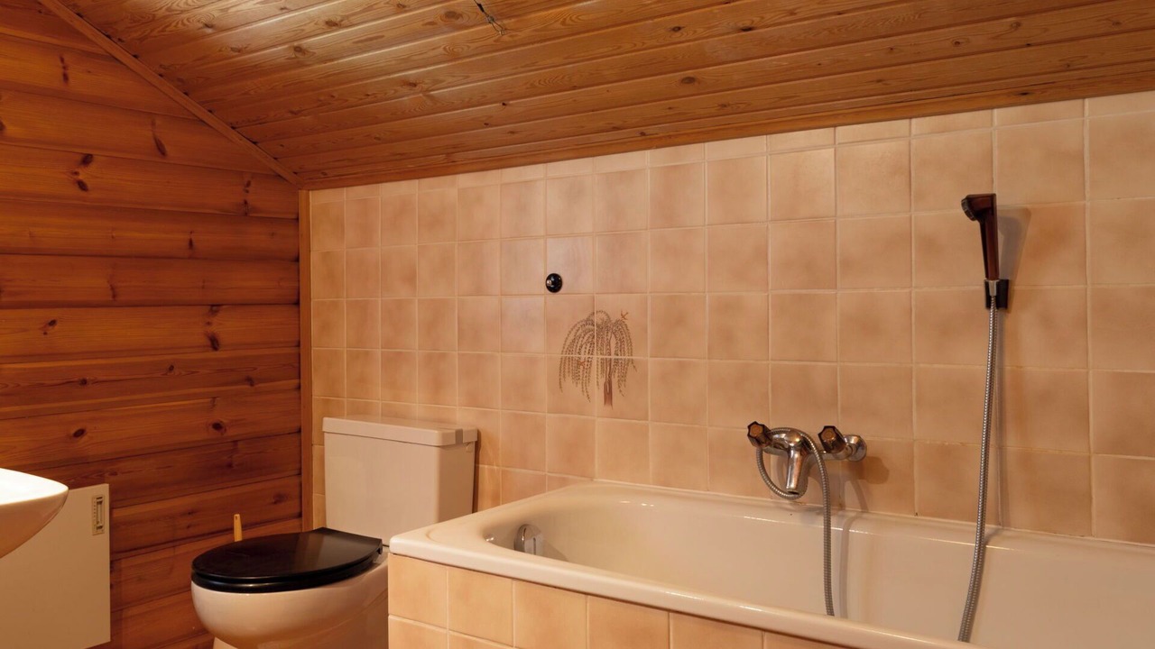 Photo of Bathroom in Les Mayens-de-Sion
