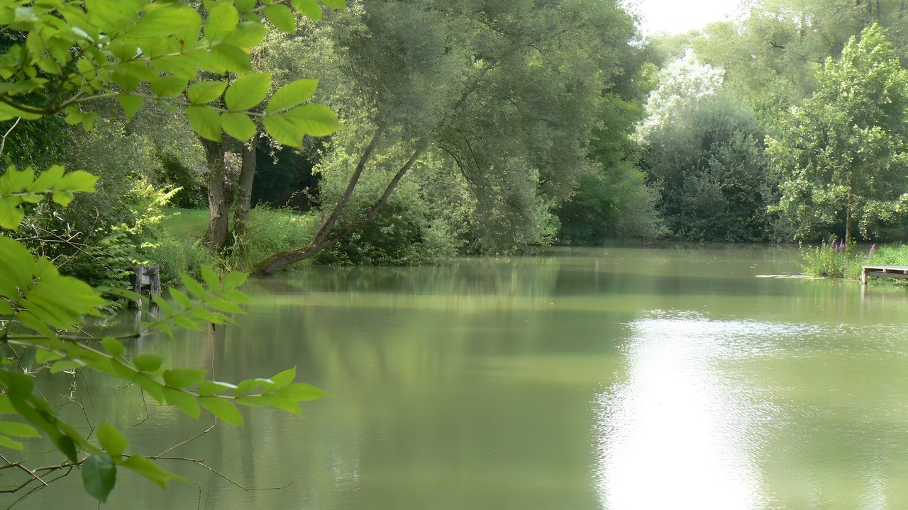 Photo of Others in Sampigny