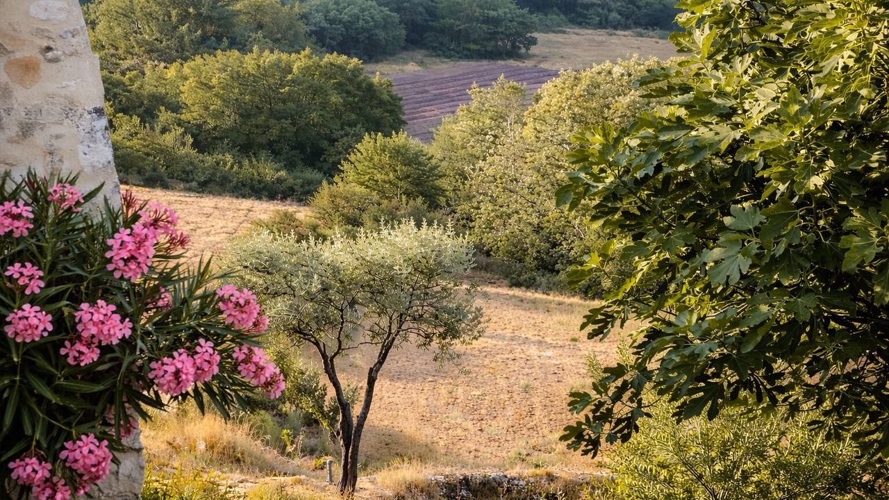 Photo of Others in Saint-Montan