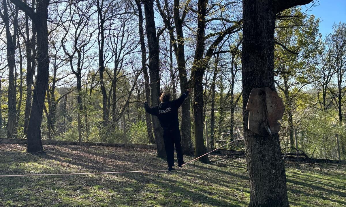 Photo of Others in Souppes-sur-Loing