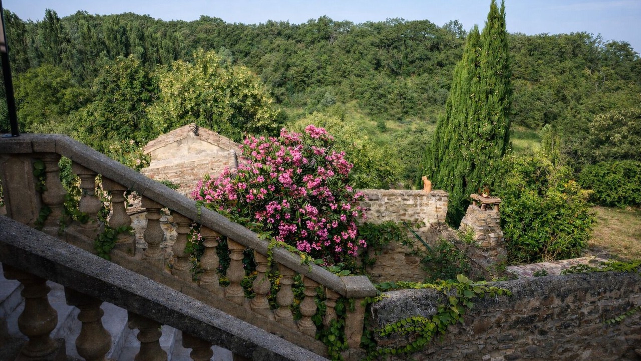 Photo of Outdoor in Saint-Montan