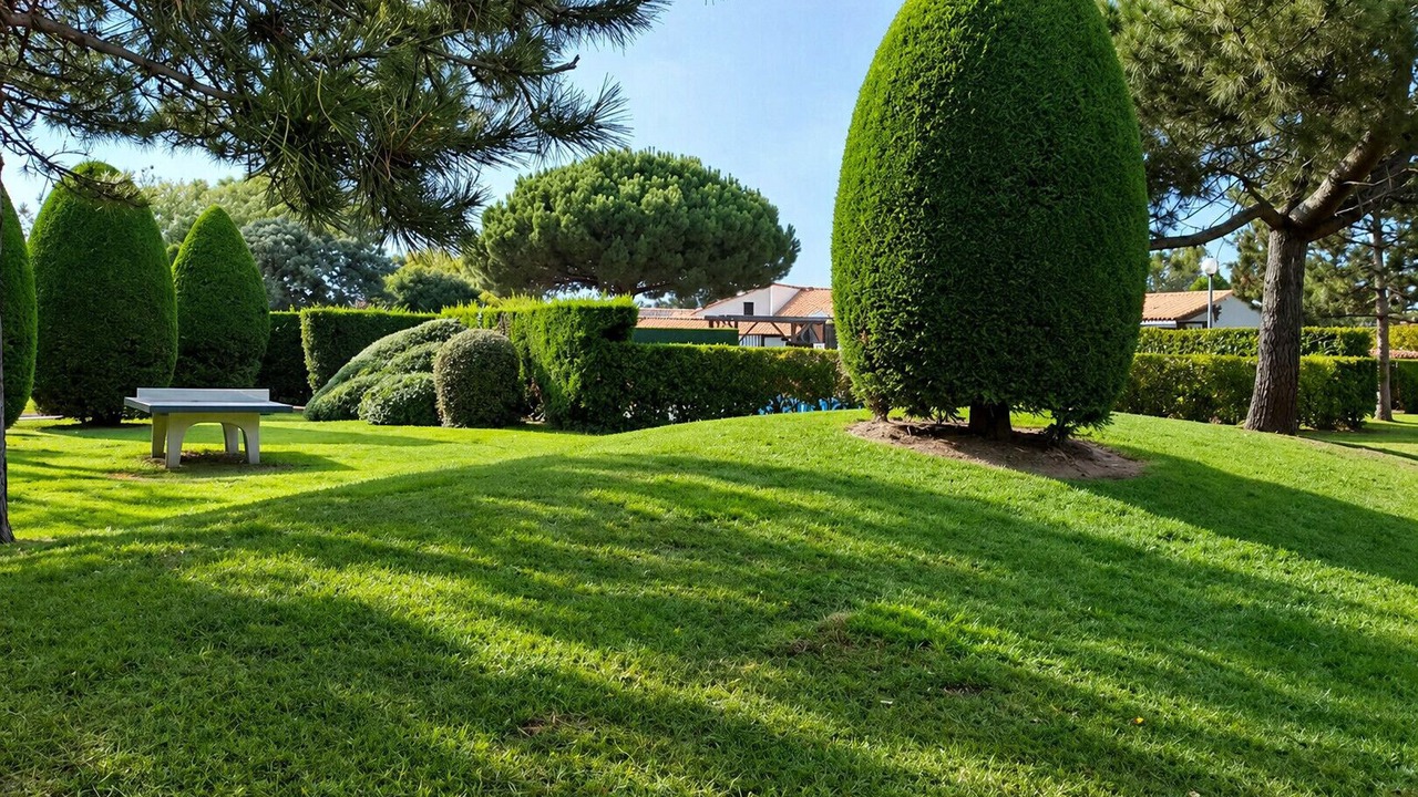 Photo of Outdoor in Saint-Vincent-sur-Jard