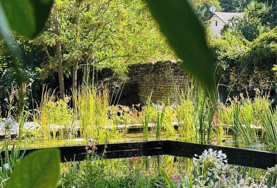 Photo of Outdoor in Sevres-Anxaumont