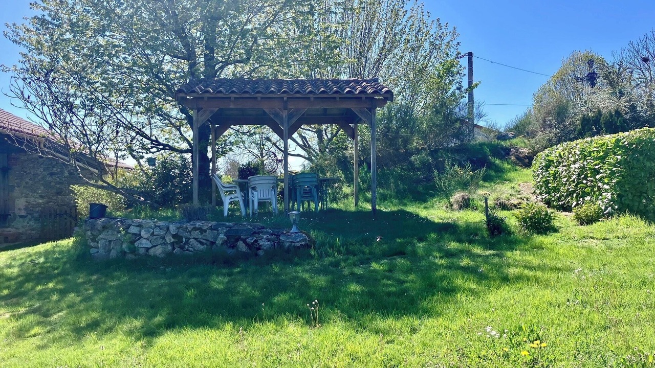 Photo of Outdoor in Felines