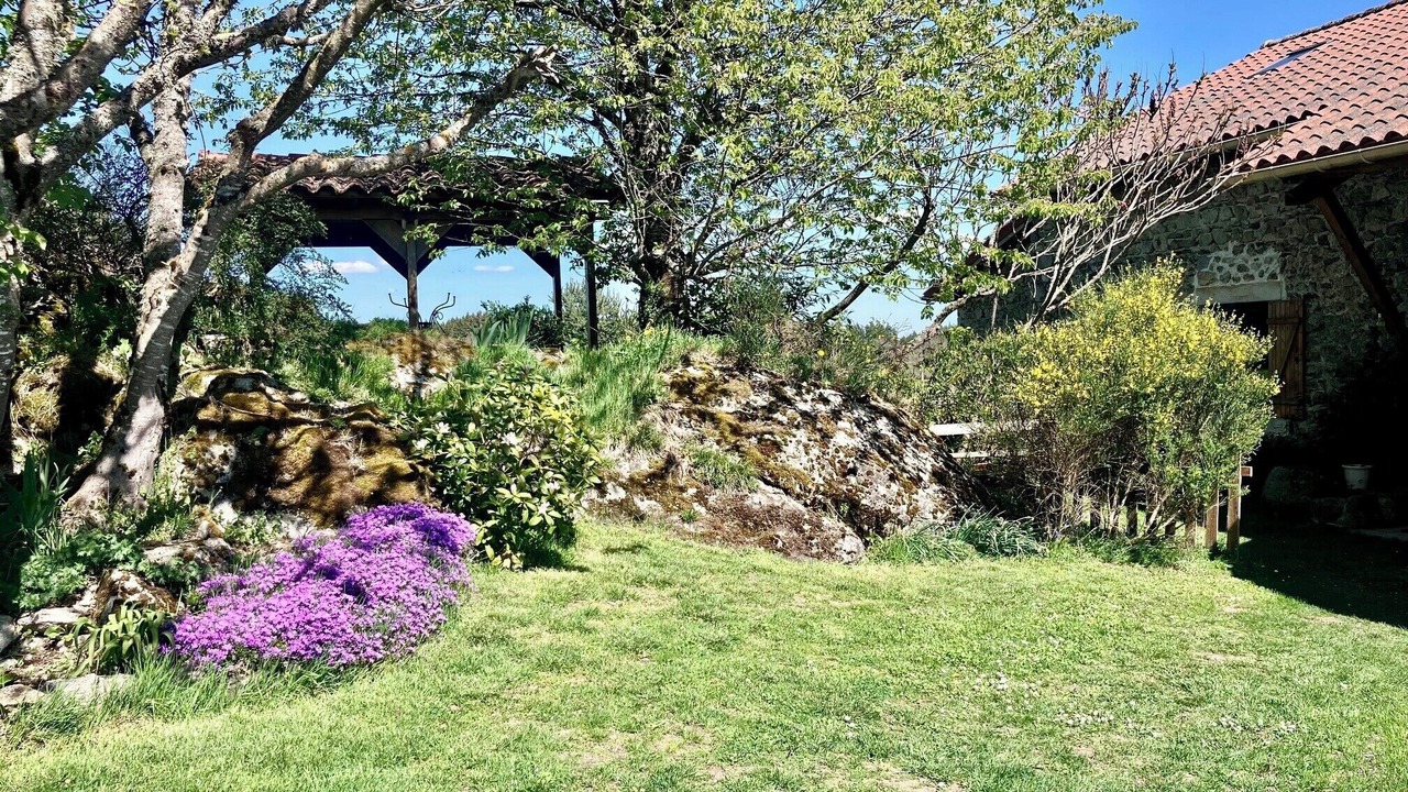 Photo of Outdoor in Felines