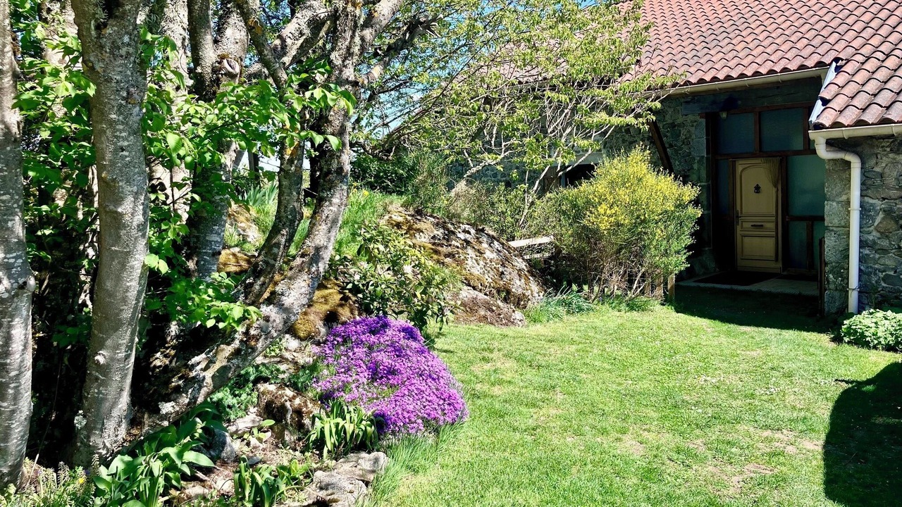 Photo of Outdoor in Felines