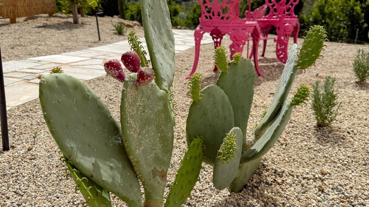 Photo of Outdoor in Fallbrook