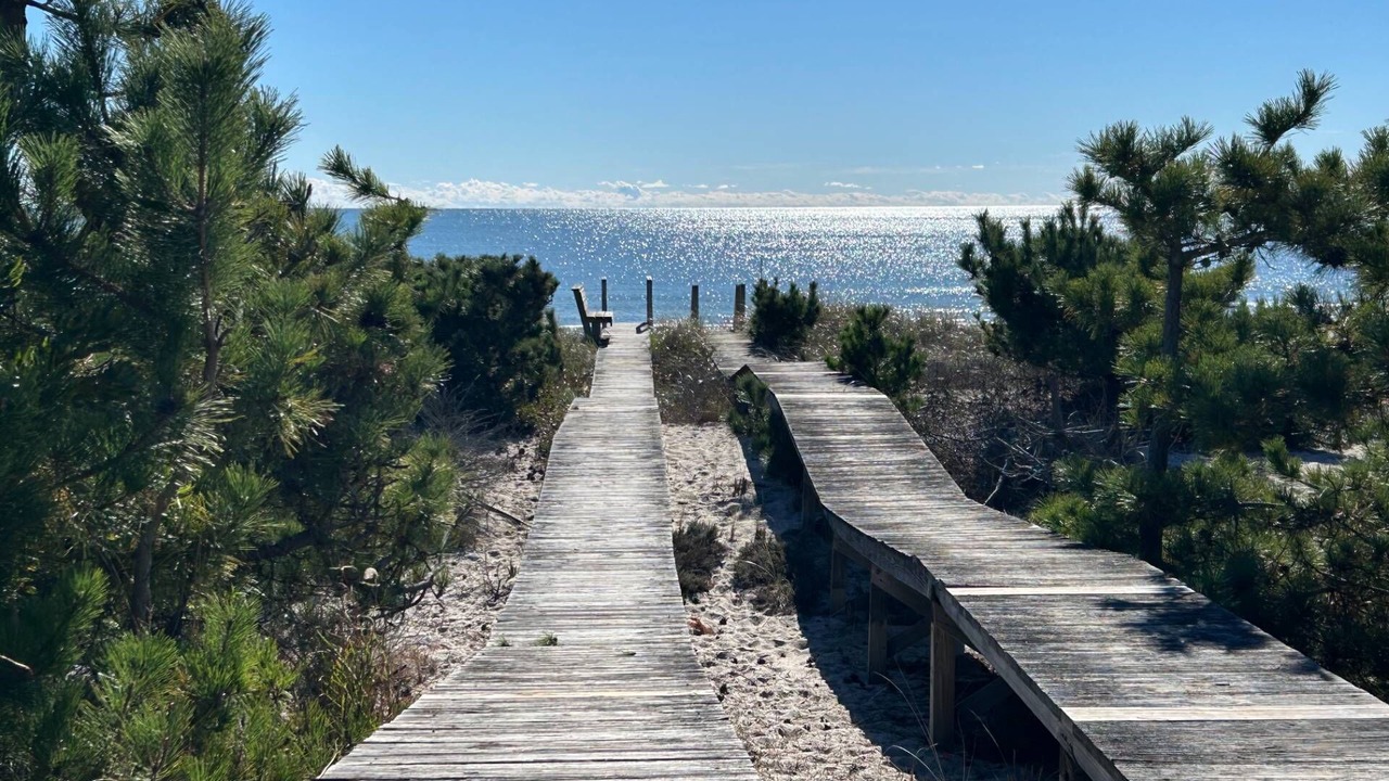 Photo of Others in Quogue
