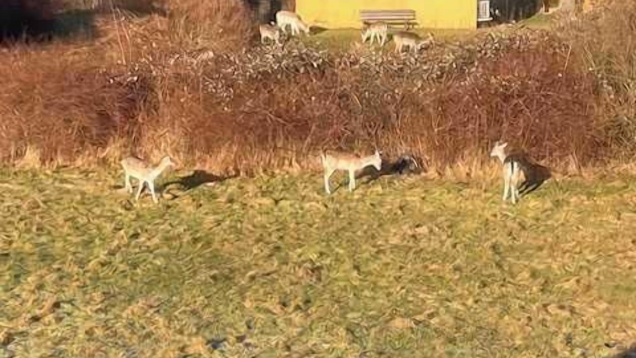 Photo of Outdoor in Sklskr