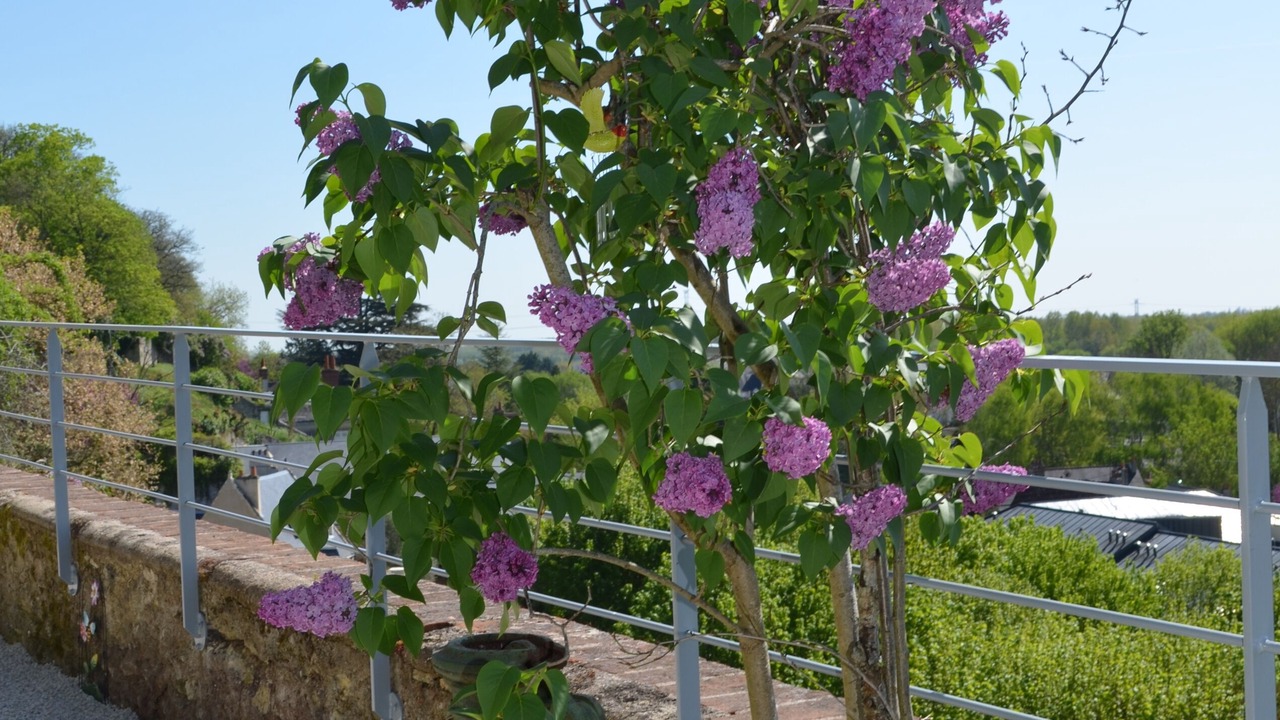 Photo of Outdoor in Vouvray