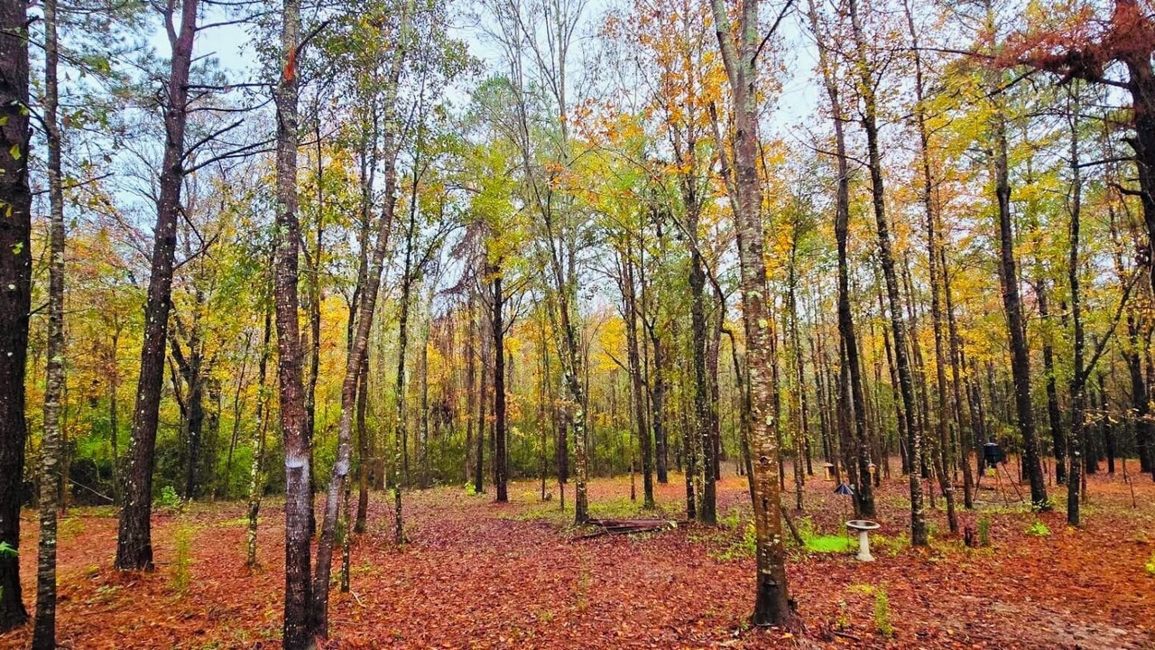 Photo of Others in Eastabuchie